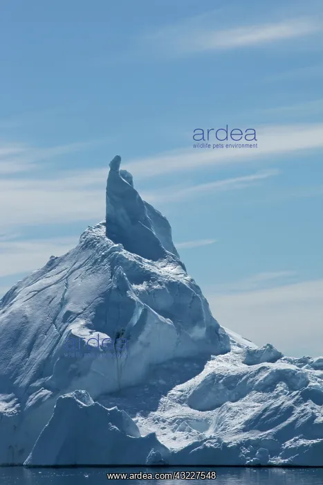 : Greenland, Ilulissat, Towering iceberg from : Greenland, Ilulissat, Towering iceberg from