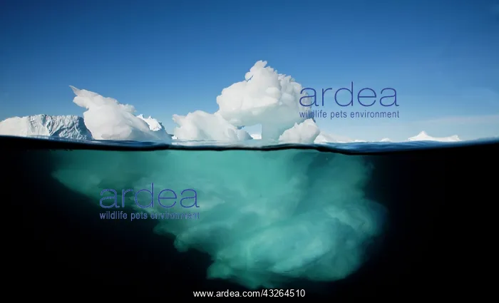 : Greenland, Ilulissat, Underwater image of : Greenland, Ilulissat, Underwater image of