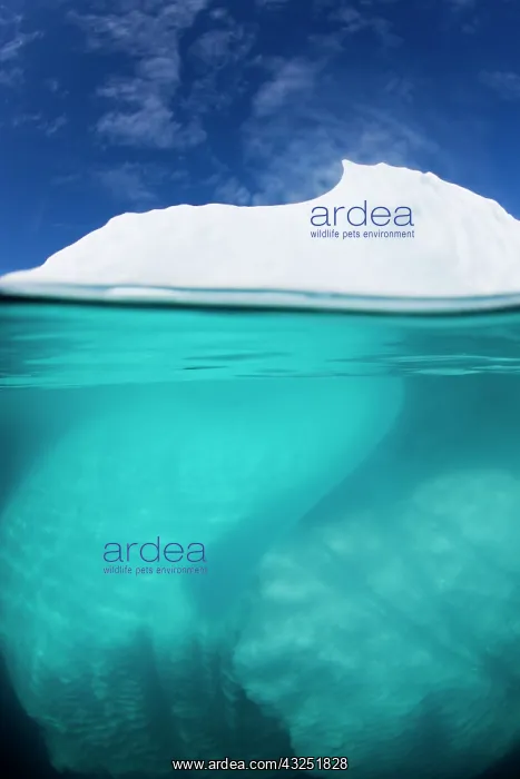 : Greenland, Ilulissat, Underwater view of : Greenland, Ilulissat, Underwater view of