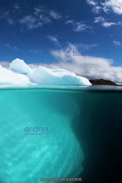 : Greenland, Ilulissat, Underwater view of : Greenland, Ilulissat, Underwater view of