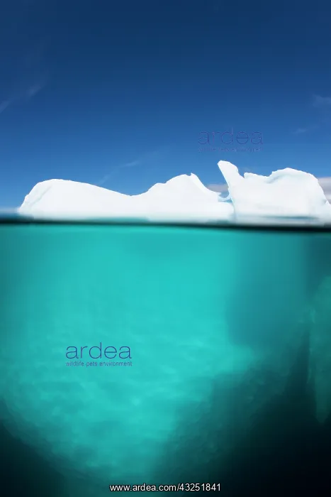 : Greenland, Ilulissat, Underwater view of : Greenland, Ilulissat, Underwater view of
