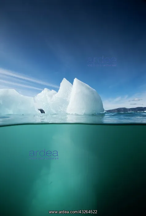 : Greenland, Ilulissat, Underwater view of : Greenland, Ilulissat, Underwater view of
