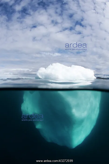  : Greenland, Ilulissat, Underwater view of