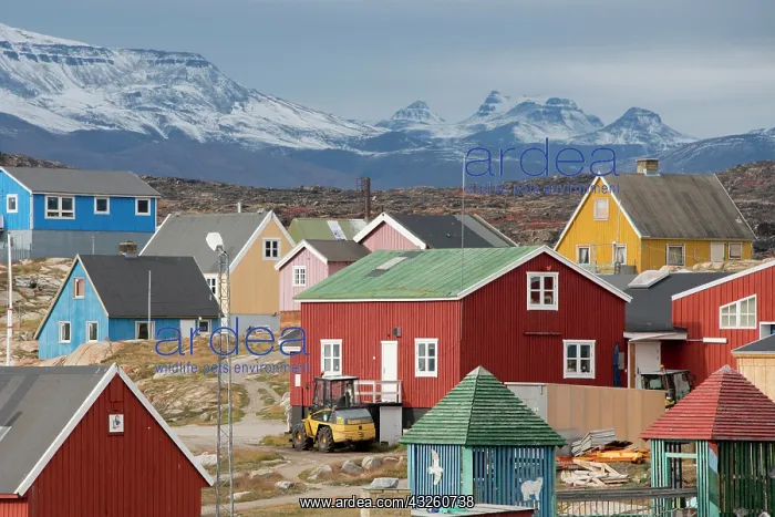 : Greenland, Nuussuaq Peninsula, Disko Bay : Greenland, Nuussuaq Peninsula, Disko Bay