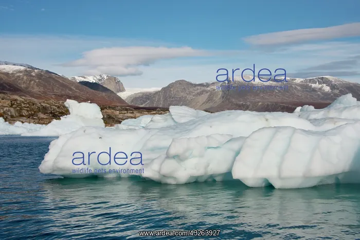 : Greenland, Nuussuaq Peninsula, Disko Bay : Greenland, Nuussuaq Peninsula, Disko Bay