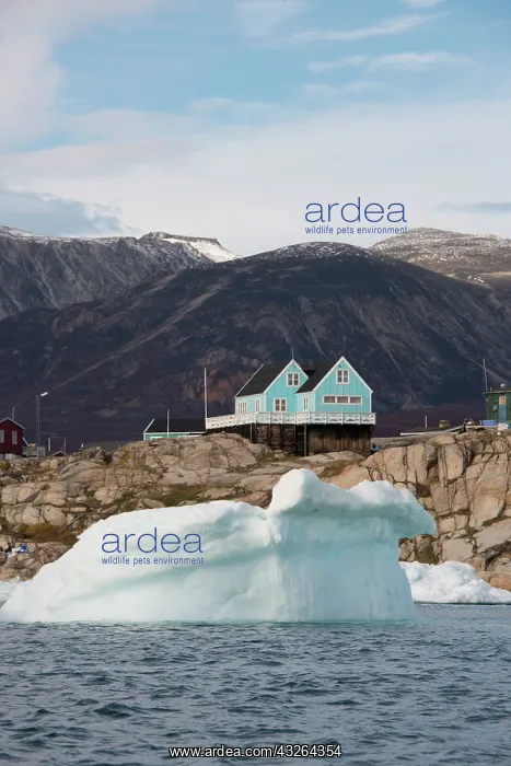 : Greenland, Nuussuaq Peninsula, Disko Bay : Greenland, Nuussuaq Peninsula, Disko Bay