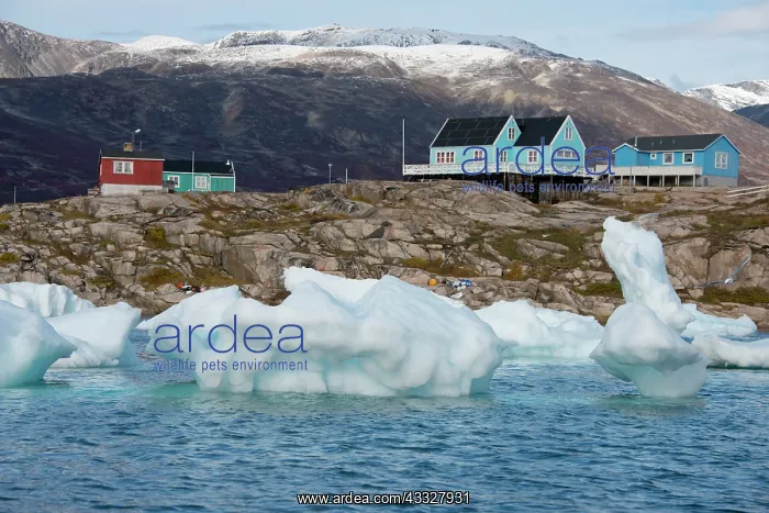 : Greenland, Nuussuaq Peninsula, Disko Bay : Greenland, Nuussuaq Peninsula, Disko Bay