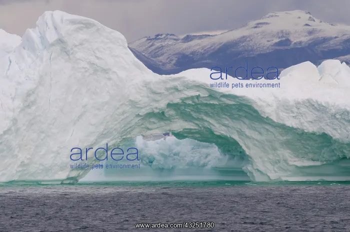 : Greenland, Nuussuaq Peninsula, Qaasuitsup : Greenland, Nuussuaq Peninsula, Qaasuitsup