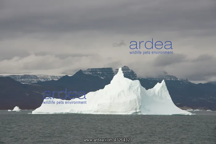 : Greenland, Nuussuaq Peninsula, Qaasuitsup : Greenland, Nuussuaq Peninsula, Qaasuitsup