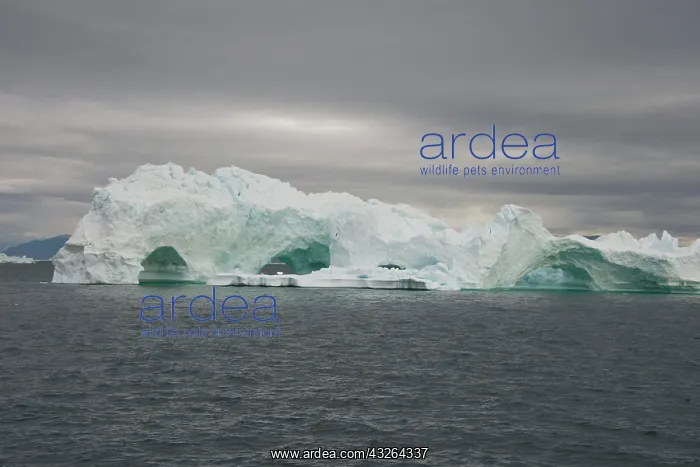 : Greenland, Nuussuaq Peninsula, Qaasuitsup : Greenland, Nuussuaq Peninsula, Qaasuitsup