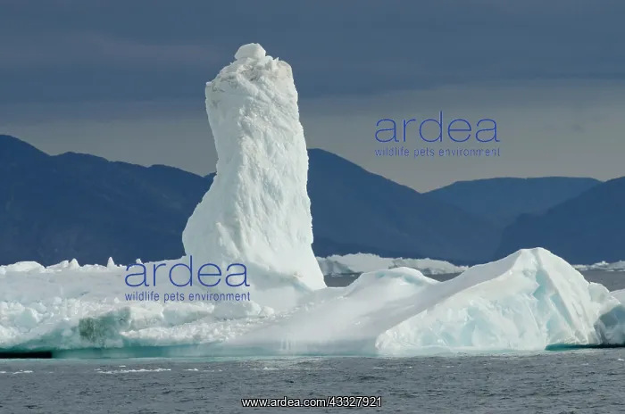 : Greenland, Nuussuaq Peninsula, Qaasuitsup : Greenland, Nuussuaq Peninsula, Qaasuitsup