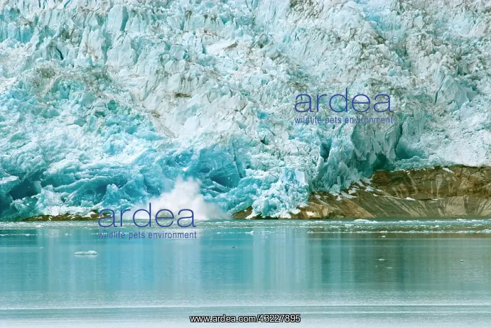 : Greenland, Qaleraliq Glacier. Ice calving : Greenland, Qaleraliq Glacier. Ice calving