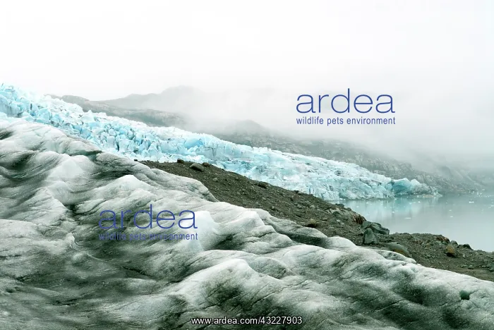 : Greenland, Qaleraliq Glacier. The rocky : Greenland, Qaleraliq Glacier. The rocky