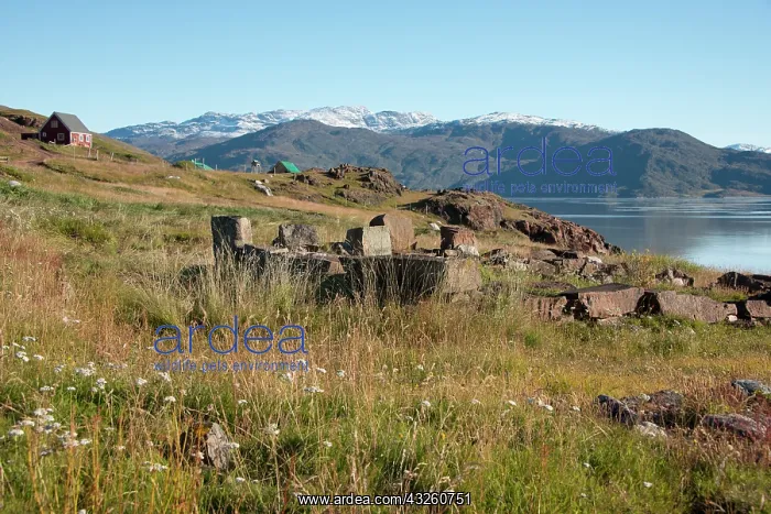 : Greenland, Qassiarsuk. Brattahlid farm ruins : Greenland, Qassiarsuk. Brattahlid farm ruins