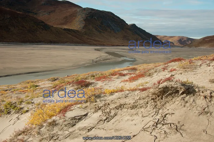 : Greenland, Qeqqata, Kangerlussuaq or Sondrestrom : Greenland, Qeqqata, Kangerlussuaq or Sondrestrom