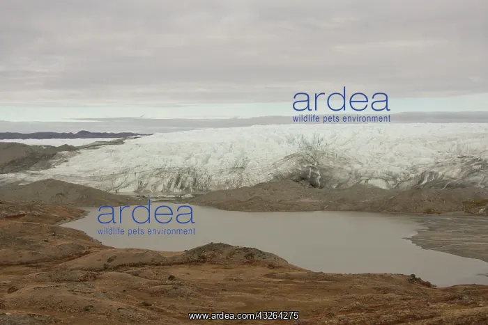 : Greenland, Qeqqata, Kangerlussuaq or Sondrestrom : Greenland, Qeqqata, Kangerlussuaq or Sondrestrom