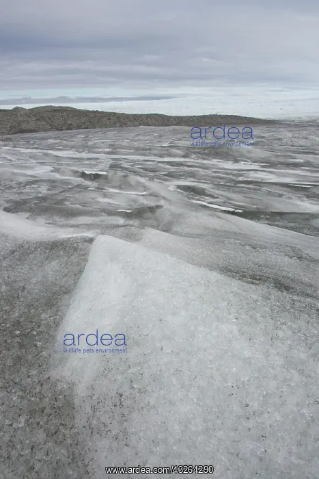 : Greenland, Qeqqata, Kangerlussuaq or Sondrestrom : Greenland, Qeqqata, Kangerlussuaq or Sondrestrom