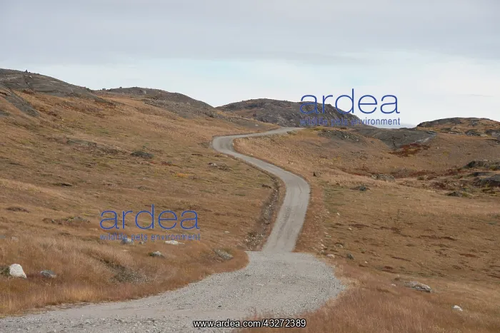 : Greenland, Qeqqata, Kangerlussuaq or Sondrestrom : Greenland, Qeqqata, Kangerlussuaq or Sondrestrom