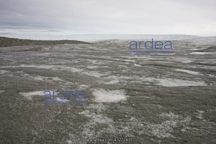 : Greenland, Qeqqata, Kangerlussuaq or Sondrestrom : Greenland, Qeqqata, Kangerlussuaq or Sondrestrom