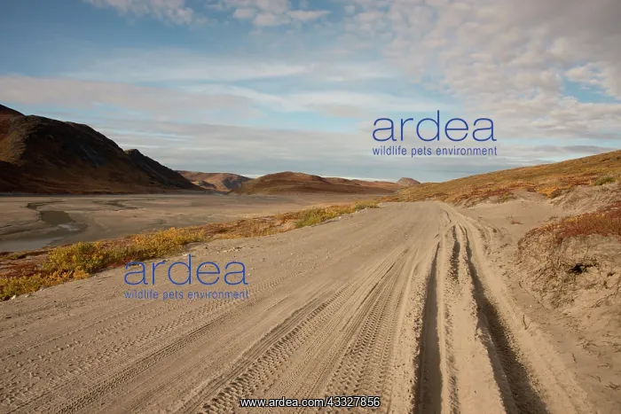 : Greenland, Qeqqata, Kangerlussuaq or Sondrestrom : Greenland, Qeqqata, Kangerlussuaq or Sondrestrom