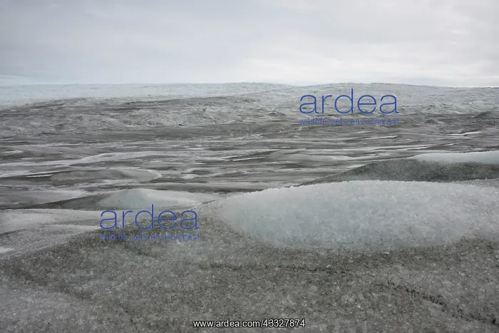 : Greenland, Qeqqata, Kangerlussuaq or Sondrestrom : Greenland, Qeqqata, Kangerlussuaq or Sondrestrom