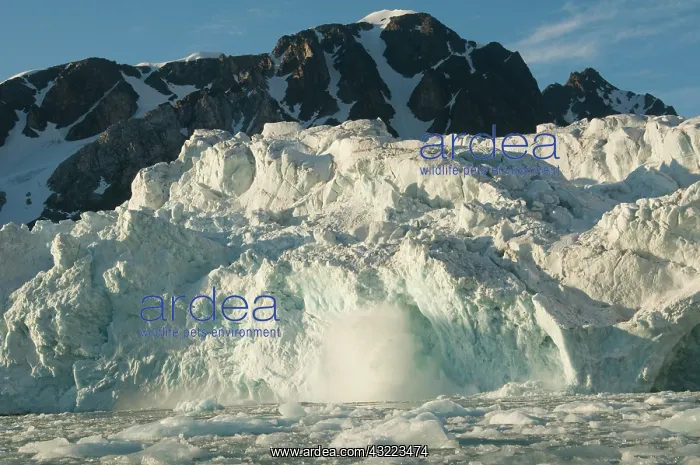 : Greenland Sea, Norway, Spitsbergen, Fuglefjorden : Greenland Sea, Norway, Spitsbergen, Fuglefjorden