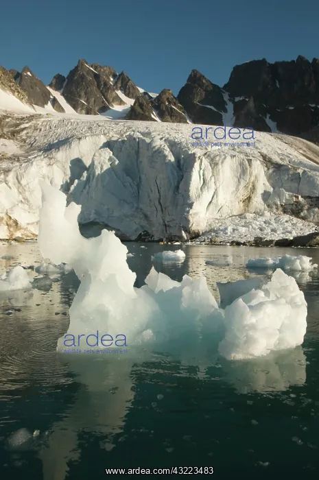  : Greenland Sea, Norway, Spitsbergen, Fuglefjorden
