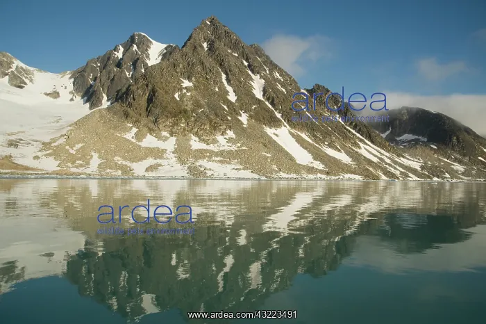 : Greenland Sea, Norway, Spitsbergen, Fuglefjorden : Greenland Sea, Norway, Spitsbergen, Fuglefjorden