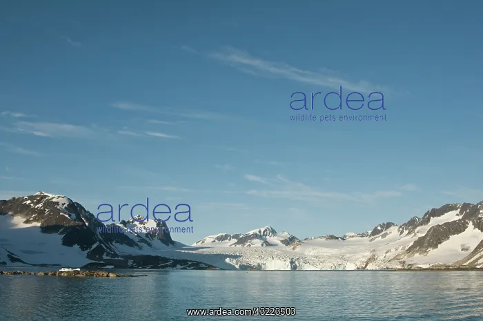 : Greenland Sea, Norway, Spitsbergen, Fuglefjorden : Greenland Sea, Norway, Spitsbergen, Fuglefjorden