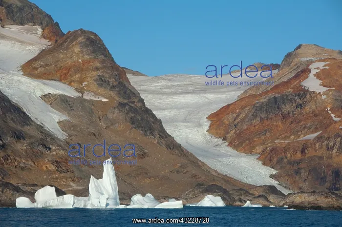  : Greenland, Southeast coast, Skjoldungen