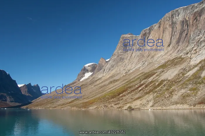 : Greenland, Southeast coast, Skjoldungen : Greenland, Southeast coast, Skjoldungen