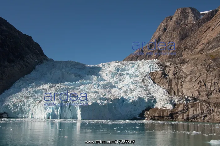 : Greenland, Southeast coast, Skjoldungen : Greenland, Southeast coast, Skjoldungen