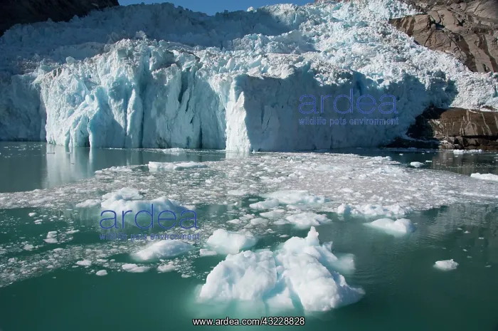 : Greenland, Southeast coast, Skjoldungen : Greenland, Southeast coast, Skjoldungen