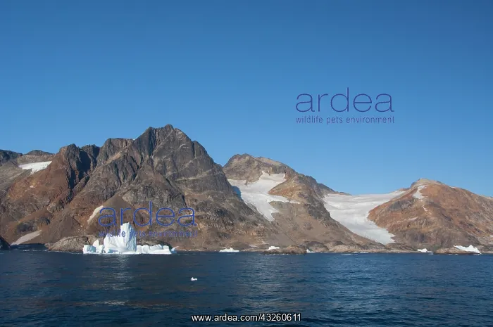 : Greenland, Southeast coast, Skjoldungen : Greenland, Southeast coast, Skjoldungen