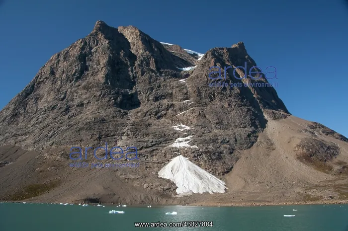 : Greenland, Southeast coast, Skjoldungen : Greenland, Southeast coast, Skjoldungen
