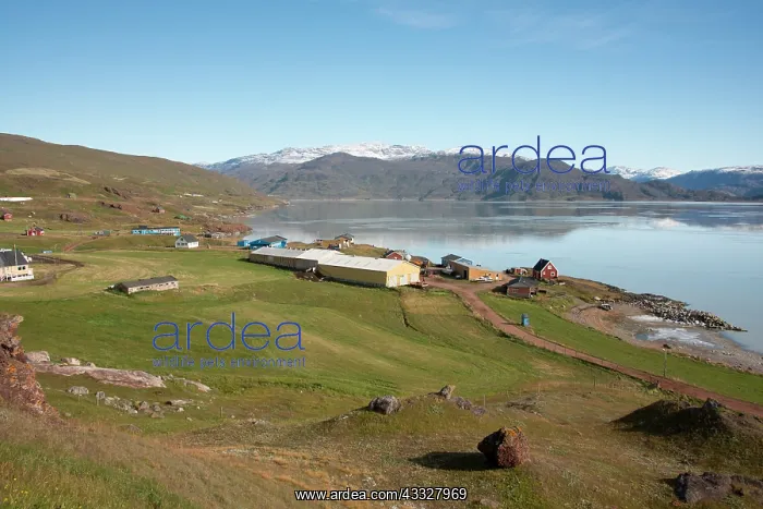 : Greenland, Tunulliarfik, Overview of Qassiarsuk : Greenland, Tunulliarfik, Overview of Qassiarsuk