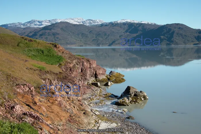 : Greenland, Tunulliarfik, Qassiarsuk and : Greenland, Tunulliarfik, Qassiarsuk and