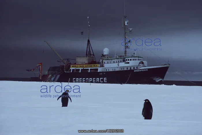 : GREENPEACE : GREENPEACE