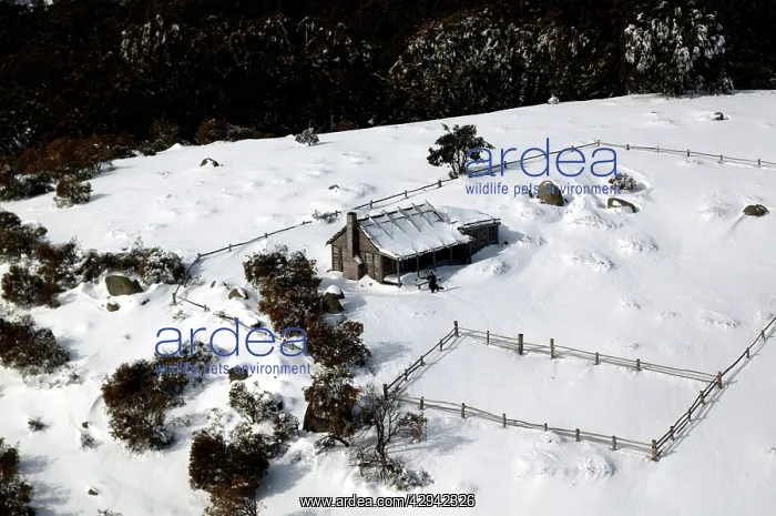  : GregIs Hut in winter. Mount Stirling, Northeast