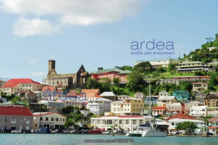 : Grenada, St George, Carenage, view over : Grenada, St George, Carenage, view over