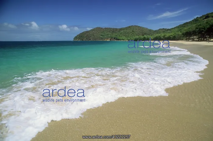 : Grenadines, beach at Mayreau Island : Grenadines, beach at Mayreau Island