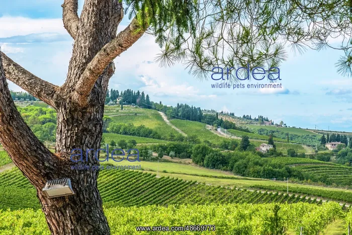  : Greve in Chianti, Tuscany, Italy. Landscape view across