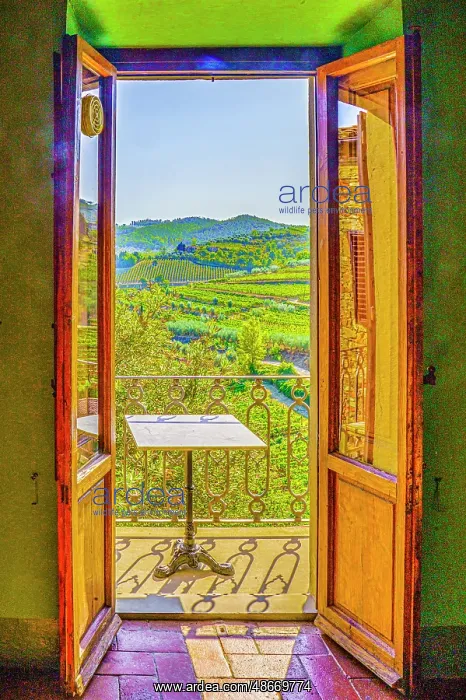 : Greve in Chianti, Tuscany, Italy. Landscape view through : Greve in Chianti, Tuscany, Italy. Landscape view through