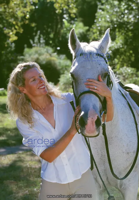 : GREY HORSE - with girl : GREY HORSE - with girl