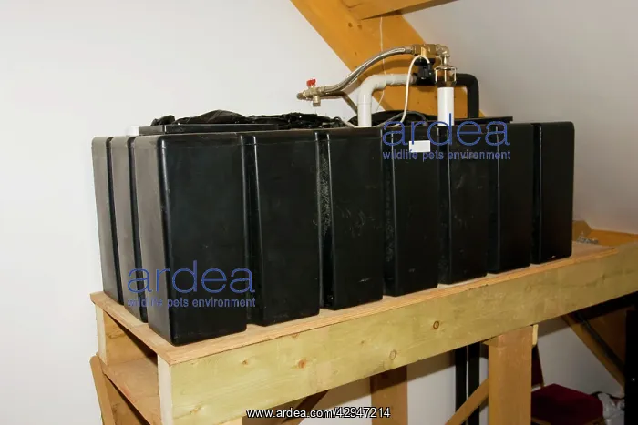 : Grey rainwater fed water tank system in award winning : Grey rainwater fed water tank system in award winning