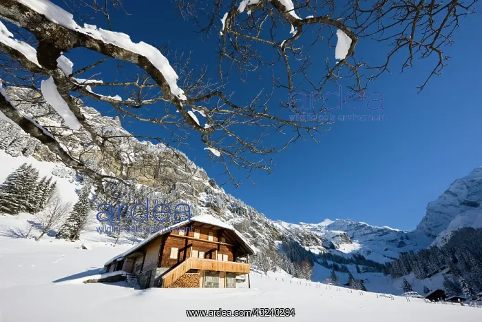 : Griesalp and Steineberg in deep snow in : Griesalp and Steineberg in deep snow in