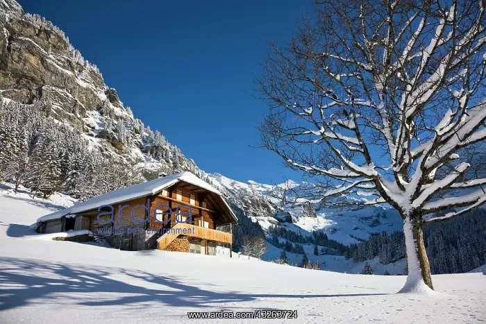 : Griesalp and Steineberg in deep snow in