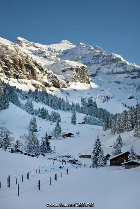 : Griesalp and Steineberg in deep snow in : Griesalp and Steineberg in deep snow in