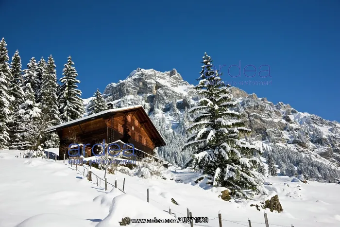 : Griesalp and Steineberg in deep snow in : Griesalp and Steineberg in deep snow in