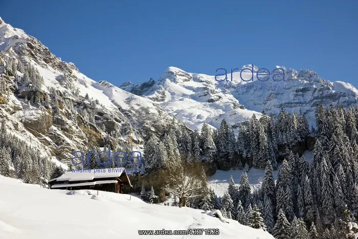  : Griesalp and Steineberg in deep snow in